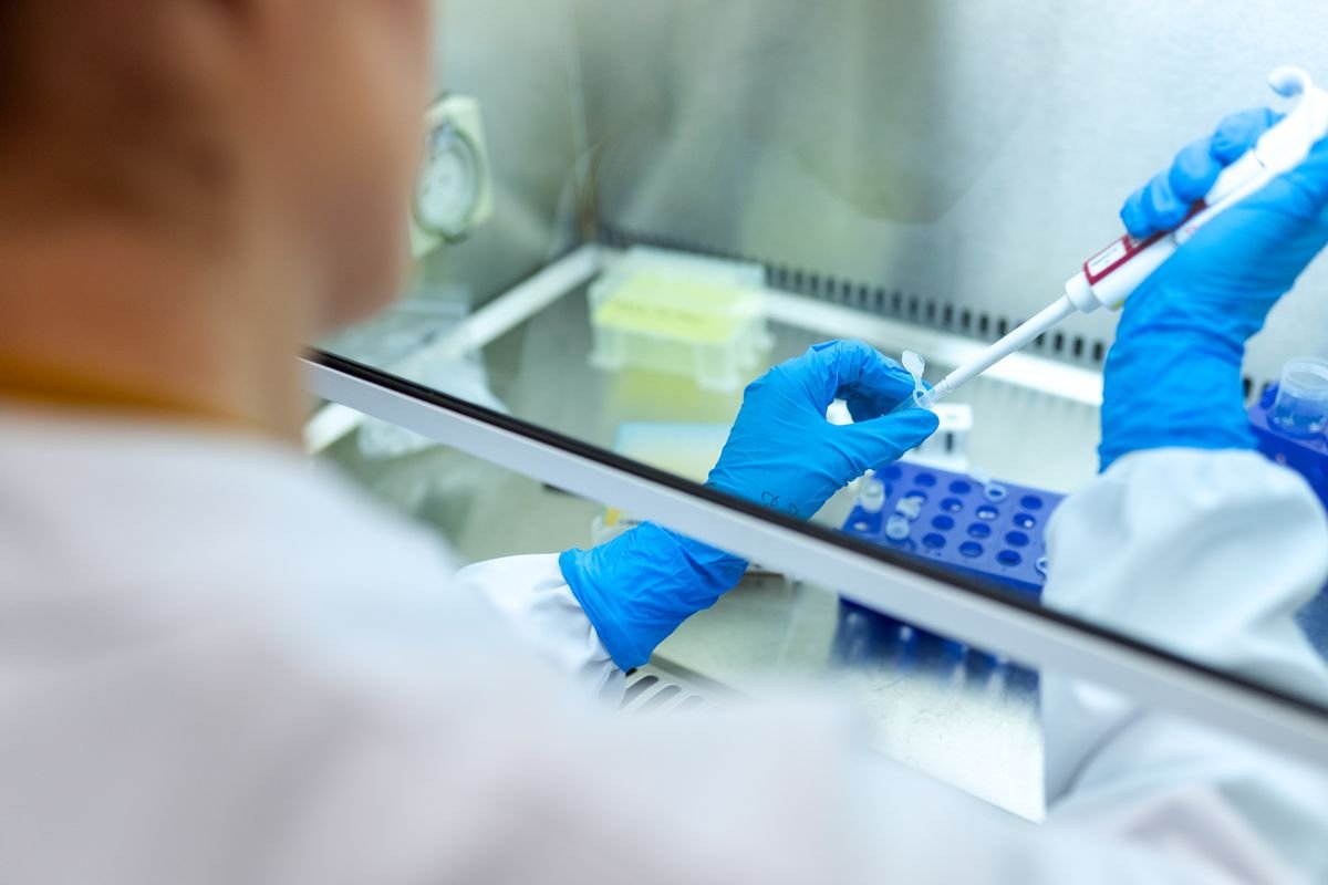 UK News: First Human-Pig Chimera Kidney Trial Approved for Terminal Patients