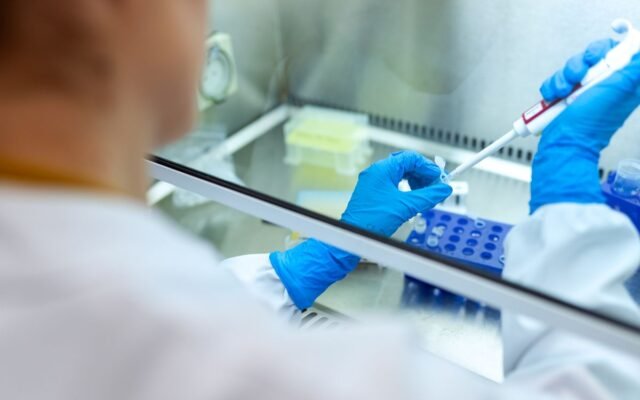 UK Science Budget: Research Councils Receive Largest Real-Terms Increase in a Decade